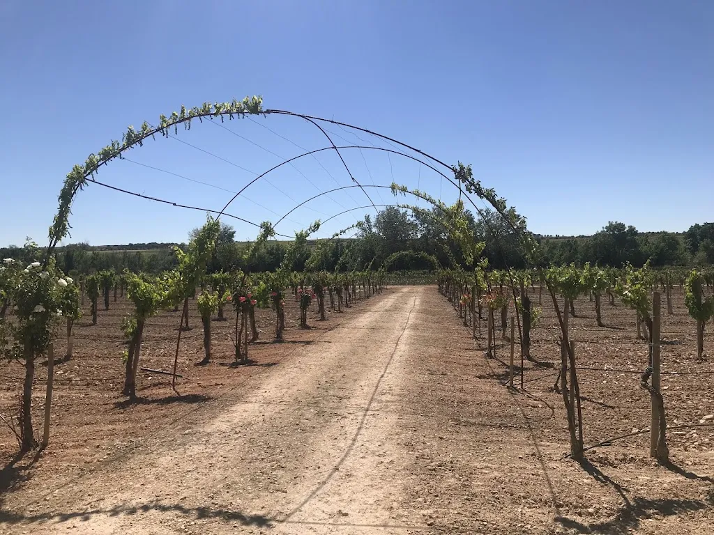 Melissa Lyras_Complejo Enoturistico La Estacada_Tarancón_recensione