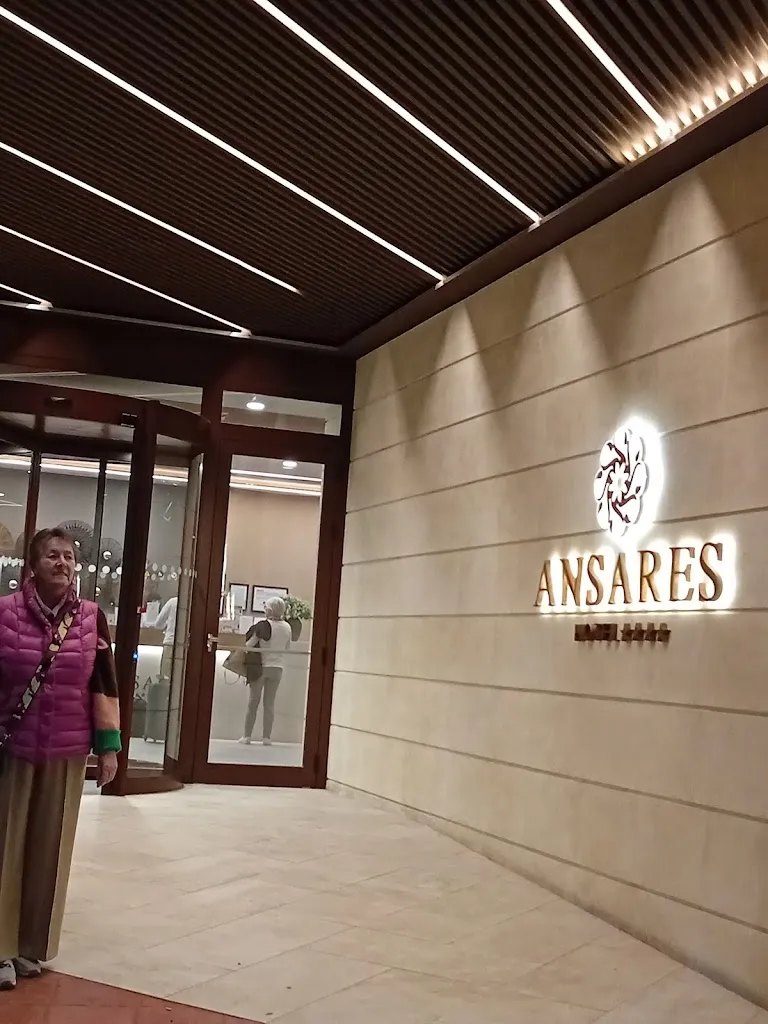 Alan Thompson_ANSARES HOTEL_Tarancón_recensione