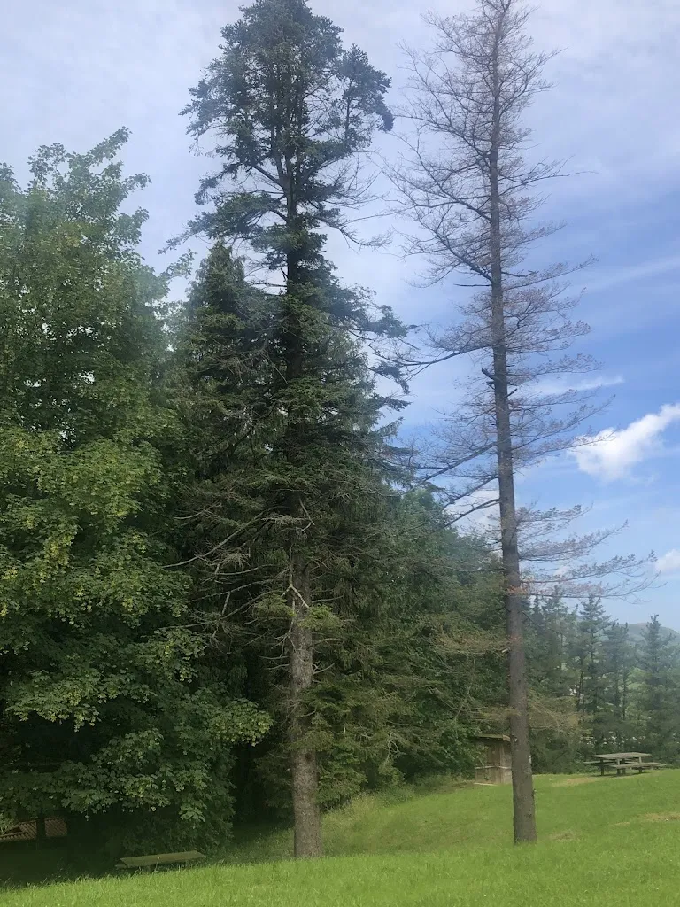 Andazarrateko merenderoa_Asteasu_slider_image_2