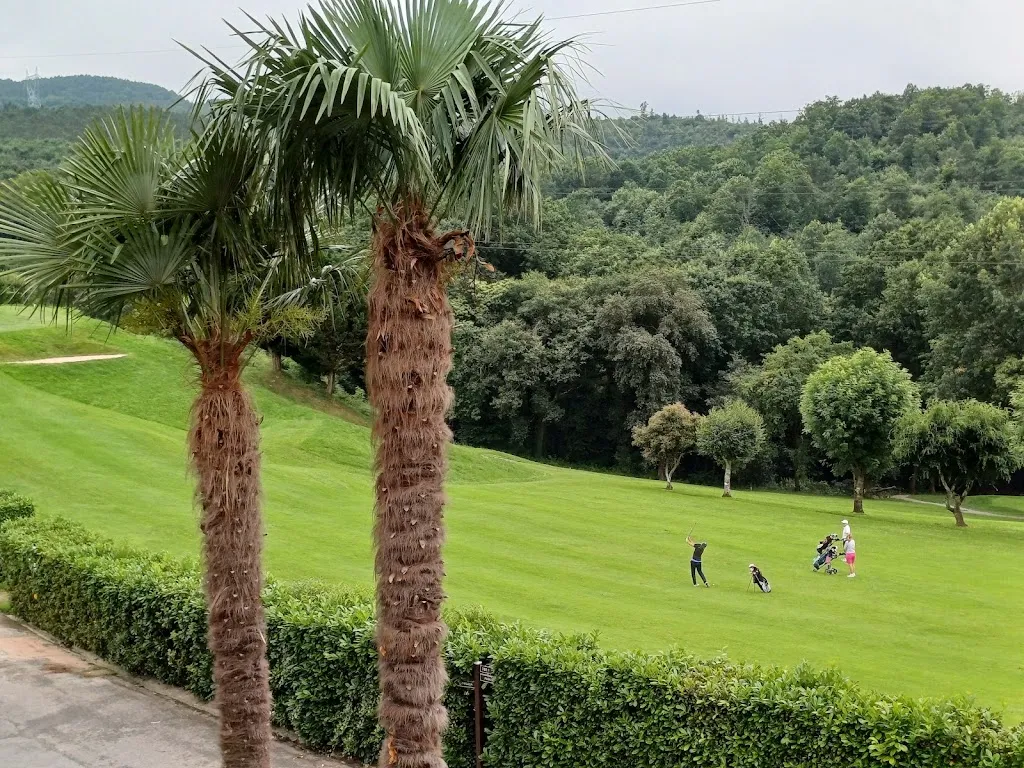 Diego Cosarinsky_Restaurante Goiburu Golf_Andoain_review