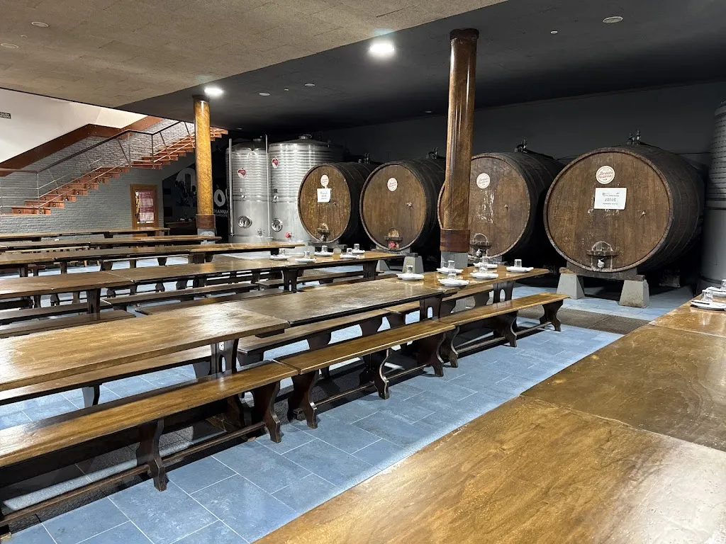 Alberto MAYNAR AGUILAR_Oianume_Andoain_review