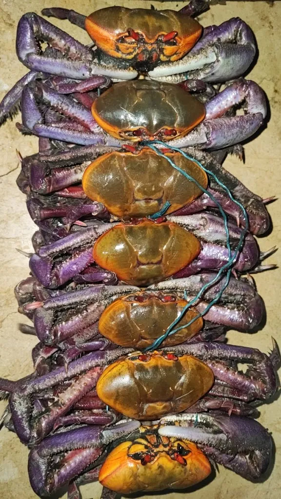 Menu_Restaurante la sazón de Dennys_Baña A_image_8