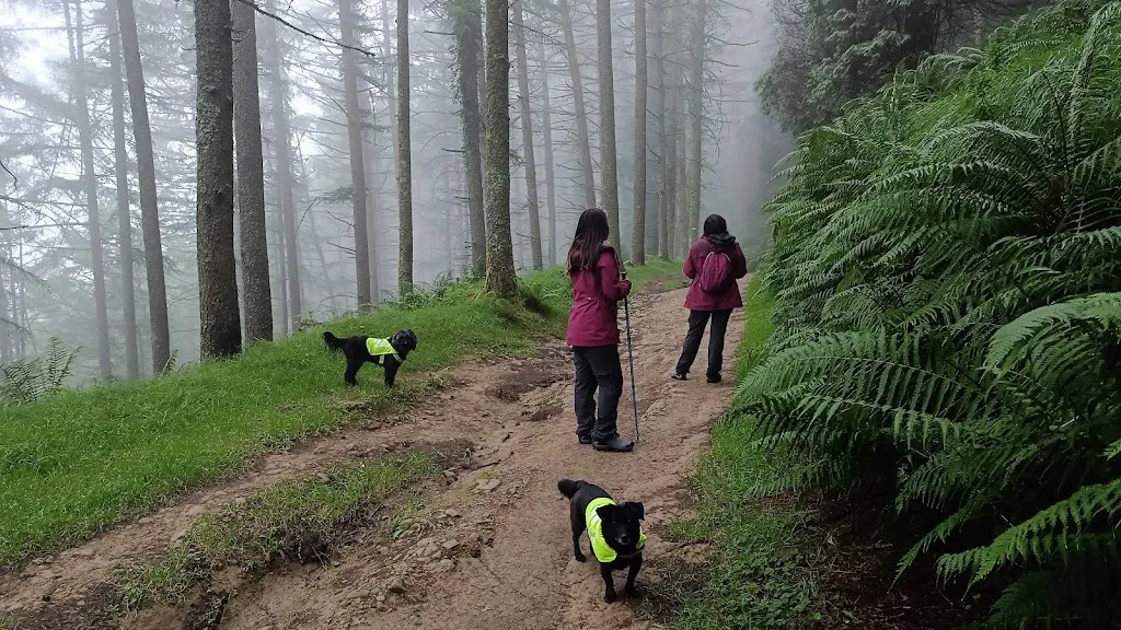 Rossemary Urquizo_Xoxote aterpea_Azpeitia_recensione