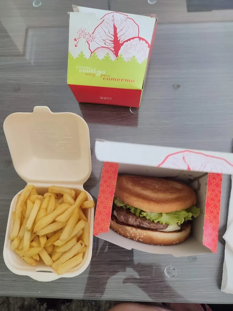 Menu_KEBAB AZPEITIA HOGGAR halal( kebab, pizzas y tacos ala leonesa))_Azpeitia_image_7