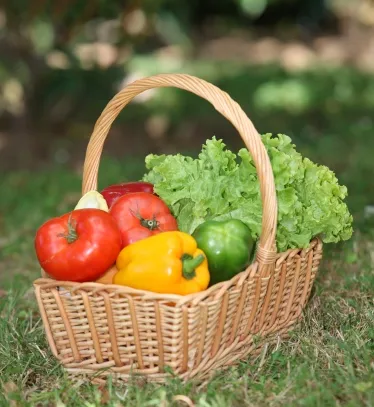 Menu_La Primavera da Jonny azpeitia_Azpeitia_image_6