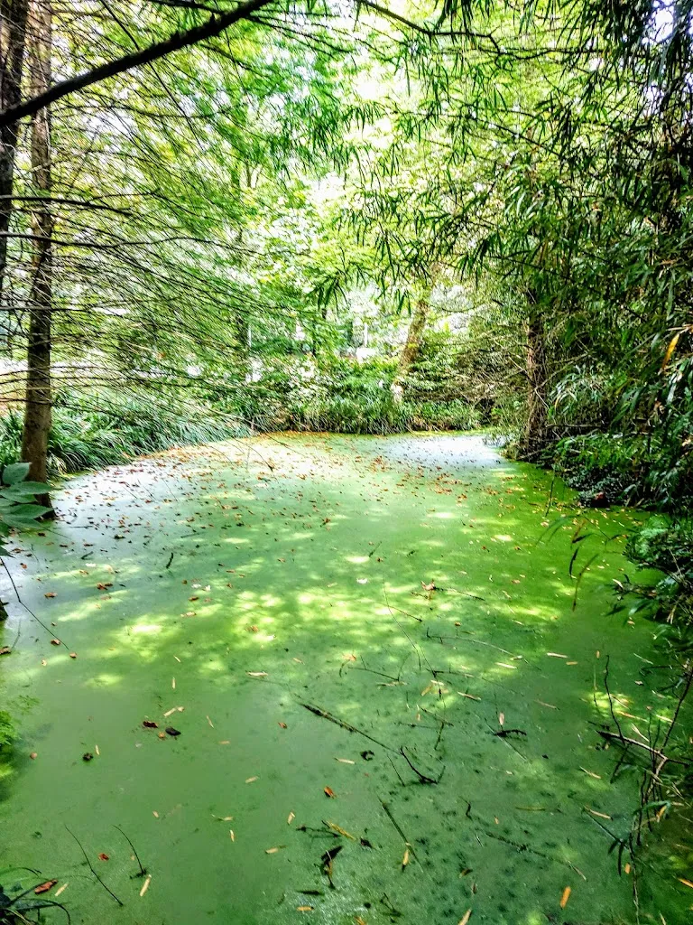 Kupela Taberna_Astigarraga_slider_image_3