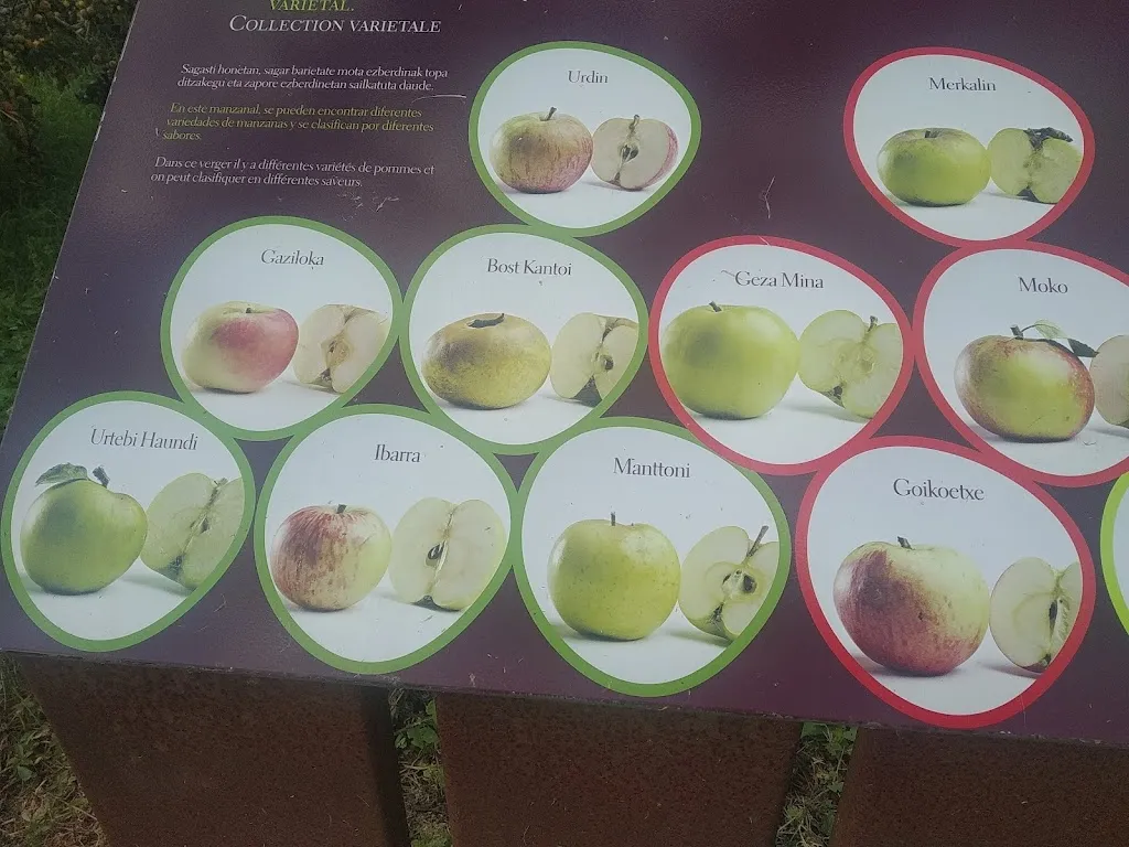 Menu_The Robin Taberna_Astigarraga_image_3