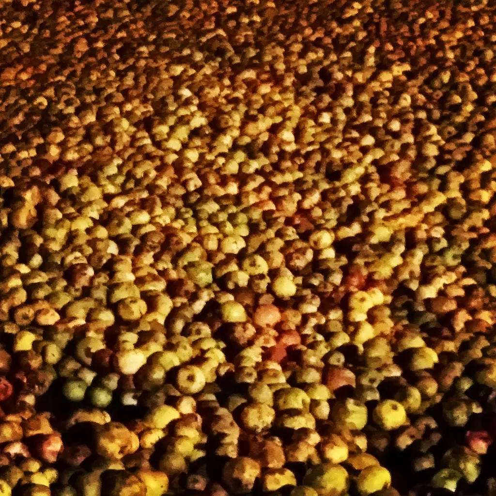 Clara Pimenta do Vale_Rezola_Astigarraga_review