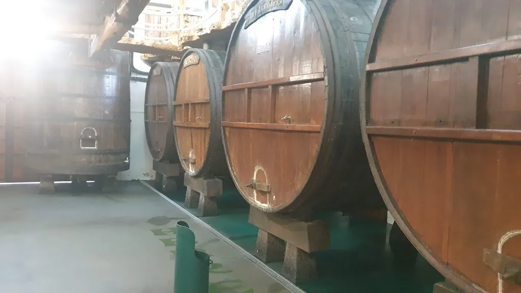 Stav Gizunterman_Sidreria Irigoien Herrero_Astigarraga_review