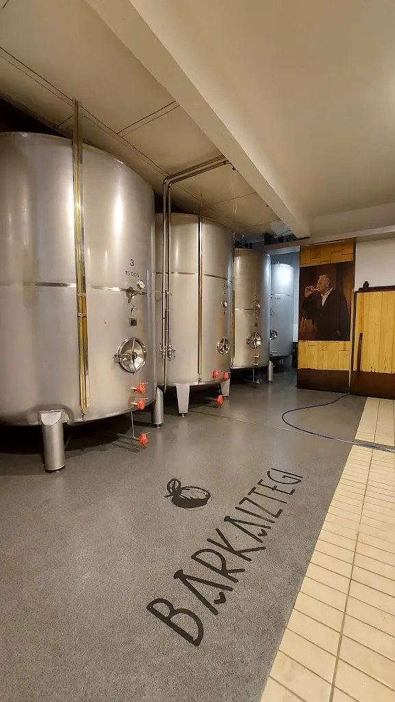 Natalia Koval_Barkaiztegi_Astigarraga_review