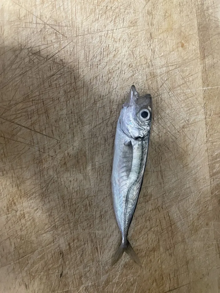 Gui Hi_Kebab K5 y tacos a la leonesa_Azkoitia_review