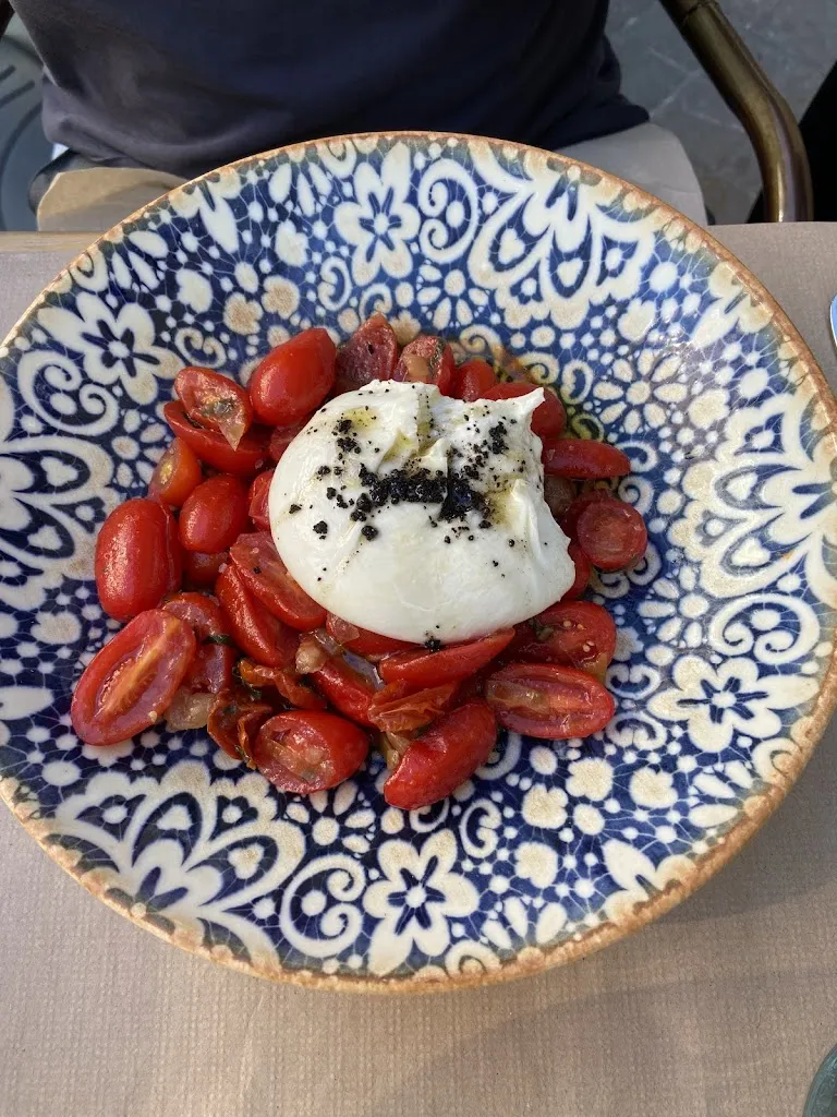 Katie_Makkila Vergara_Bergara_review