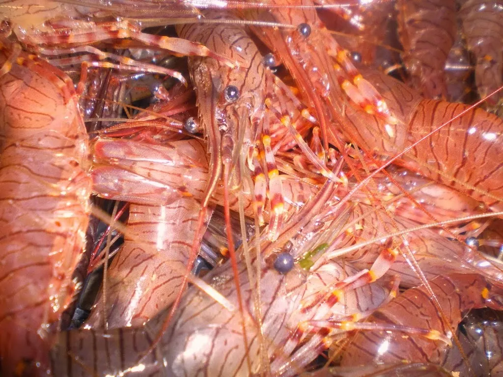 Restaurante Urgain_Deba_slider_image_3