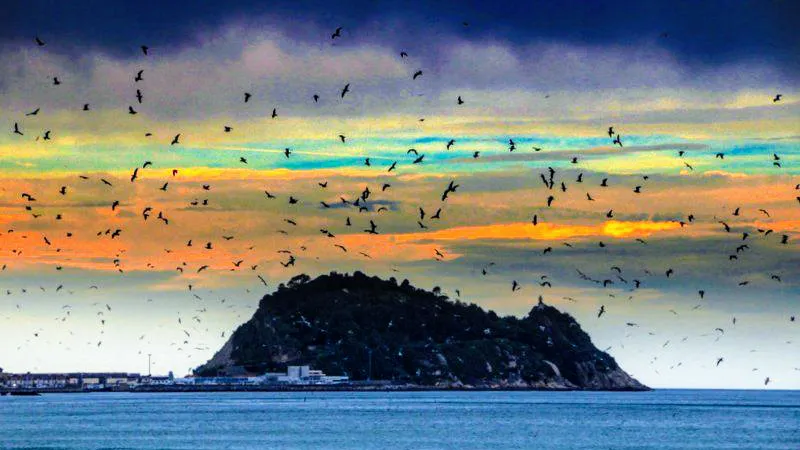 El Ratón De Getaria_Getaria_slider_image_3