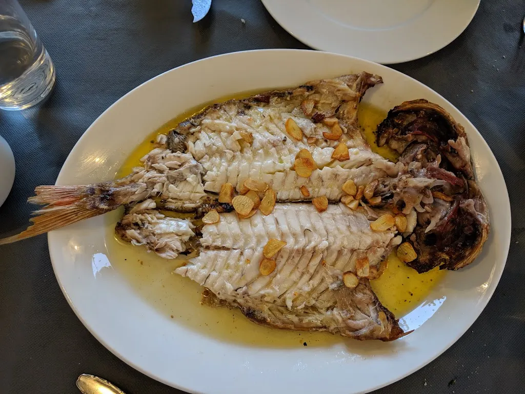 Alex Twose_X_Getaria_review