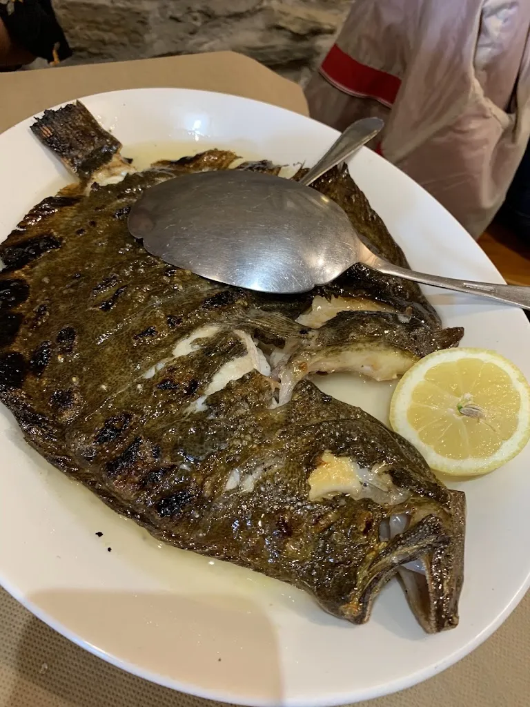 Roman_X_Getaria_review