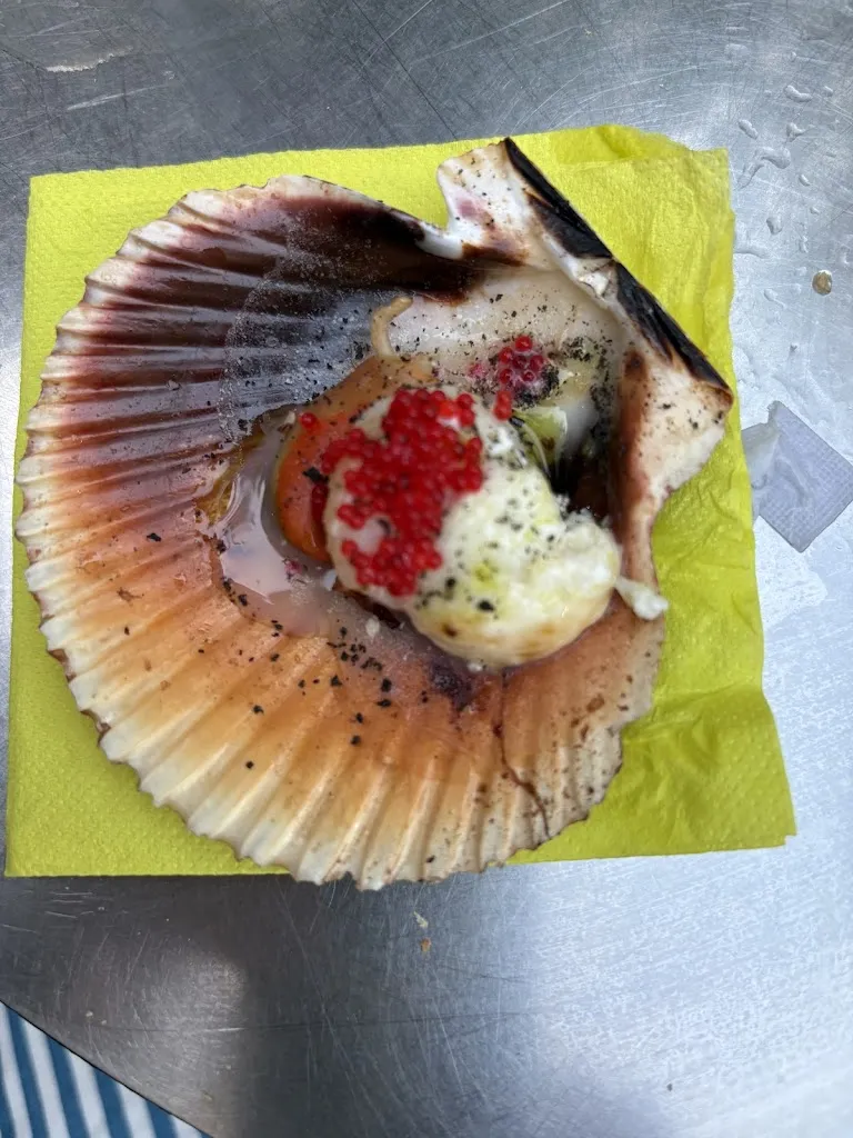 sonni paisley_Bar Gran Sol Hondarribia_Hondarribia_avis