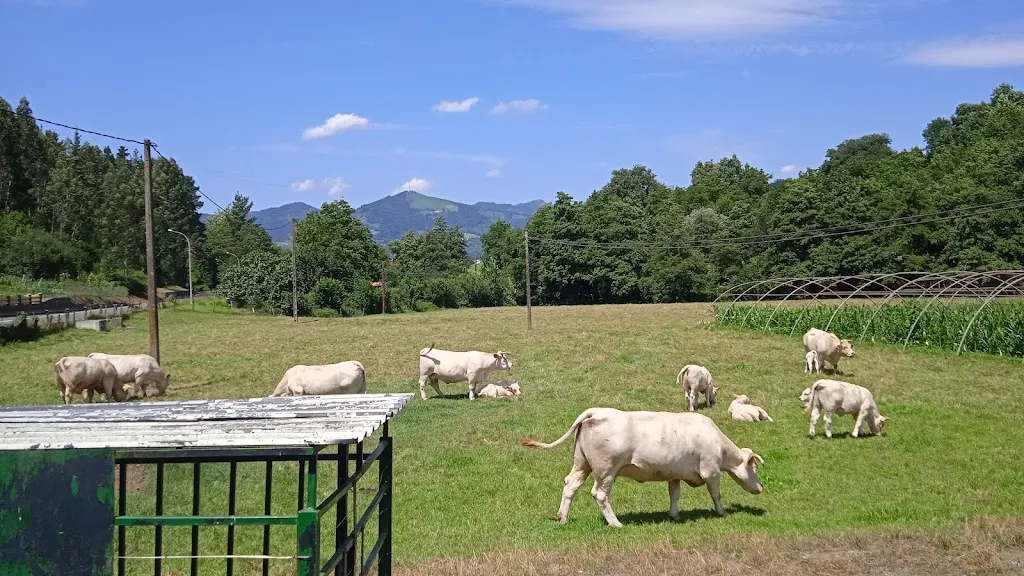 josu ELORZA ARDANAZ_Amebi Jatetxea_Lazkao_review