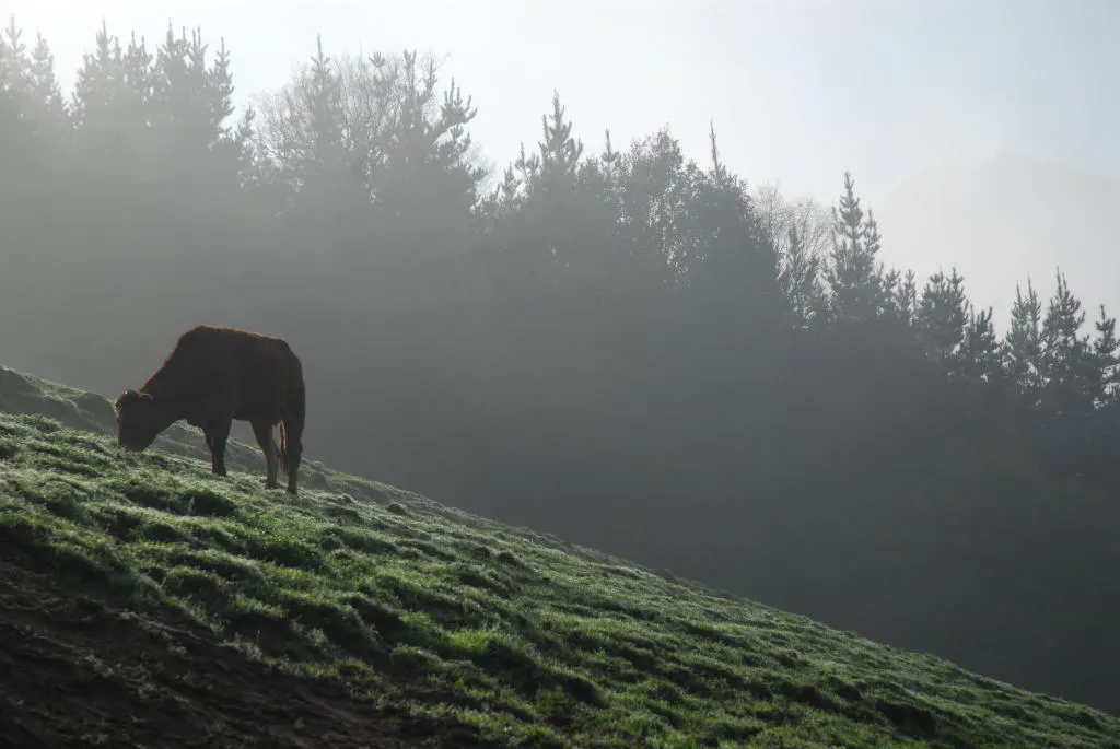 Bartzelona Landetxea_Legorreta_slider_image_3