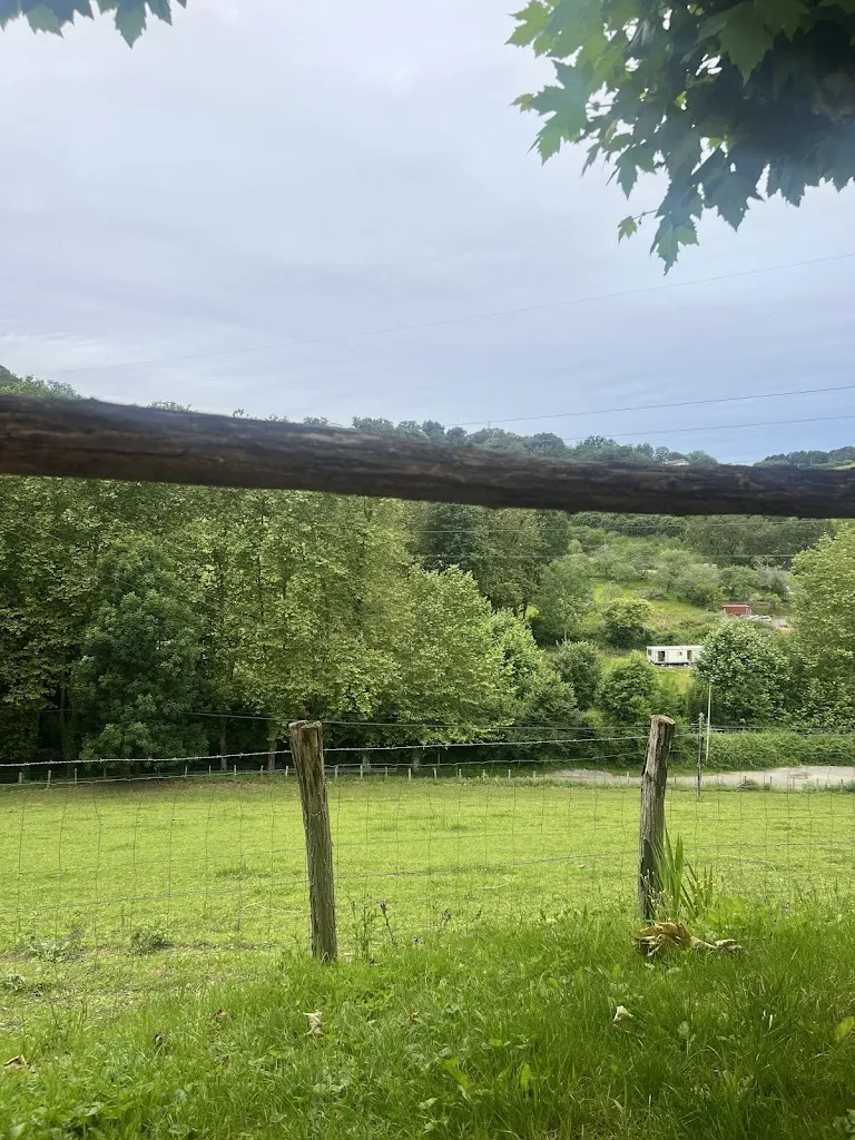 Ali Bahbahani_Asador Restaurante Trinkete Borda_Irun_review