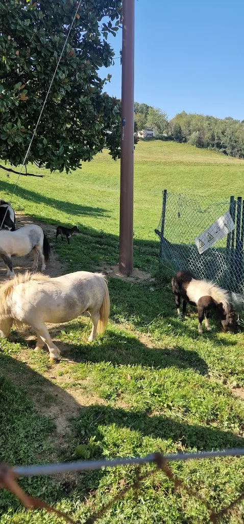 David Pérez_Restaurante Patrixi_Irun_recensione