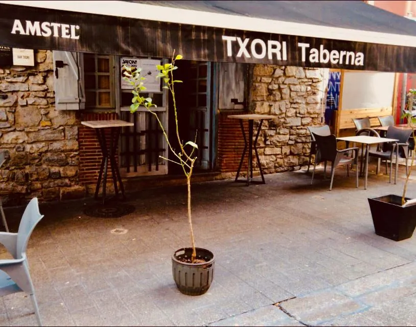 Txori Taberna Berria restaurant in Irun