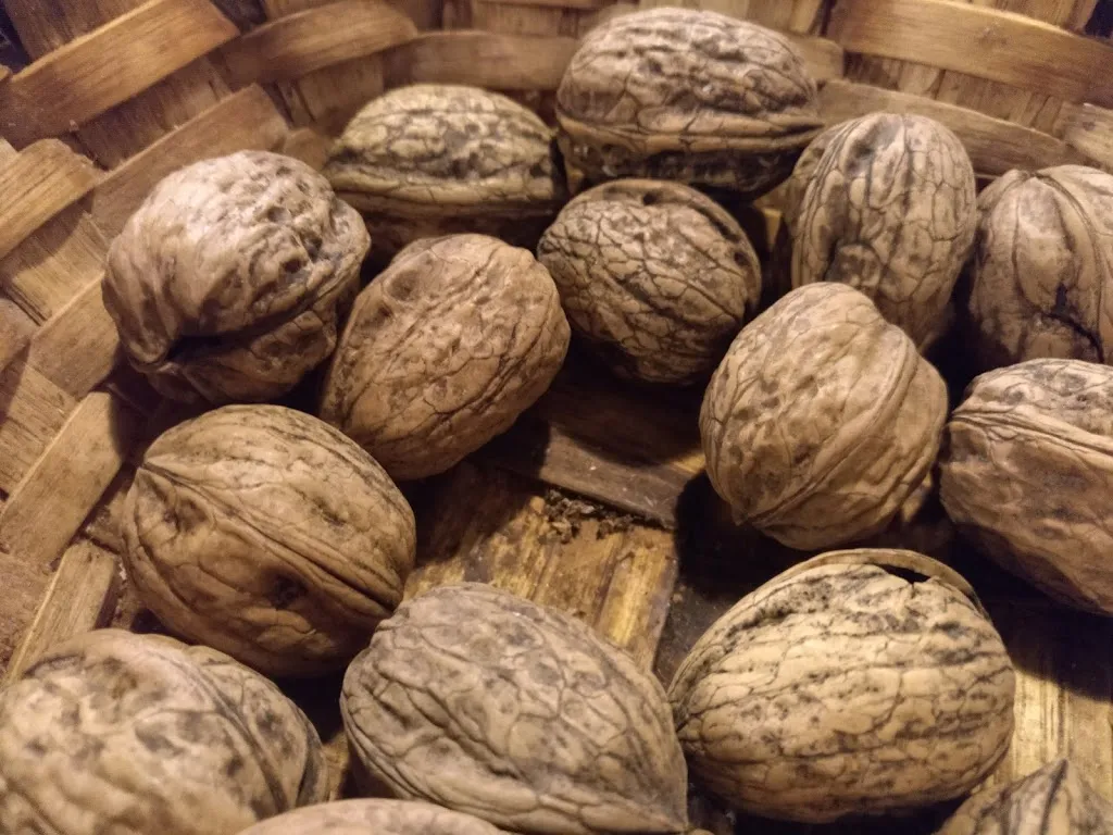 patricia ann kearns_Donosti Sagardotegia_Errenteria_recensione