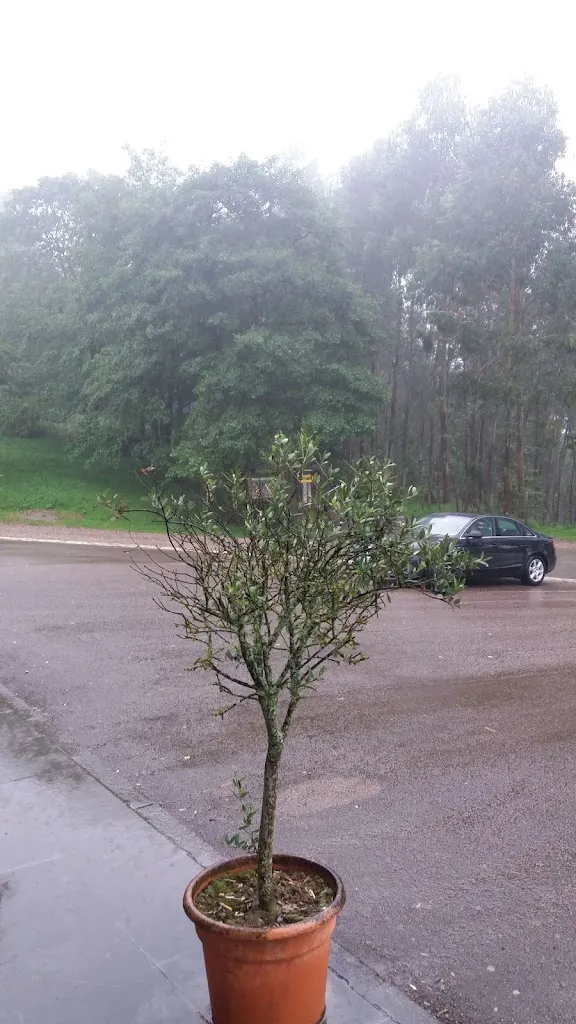 conchi alvarez de eulate_Susperregi Jatetxea_Errenteria_review