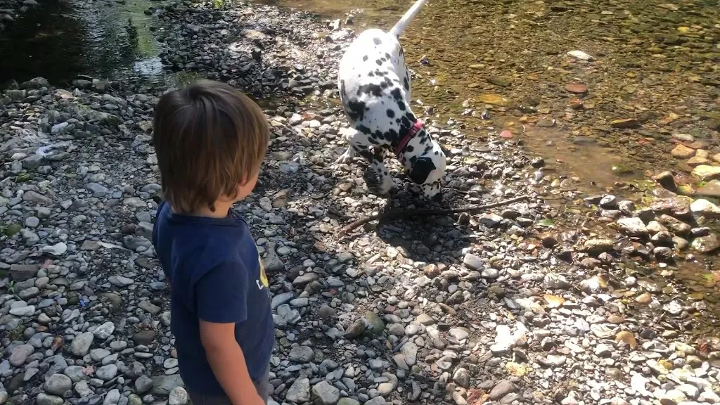 Taberna Larzabal restaurant in Errenteria