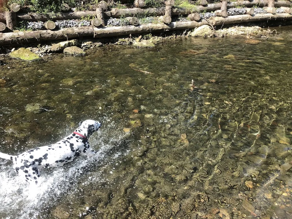 Taberna Larzabal_Errenteria_slider_image_2