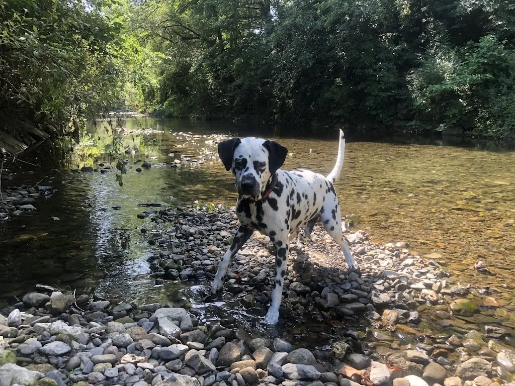 Taberna Larzabal_Errenteria_slider_image_3