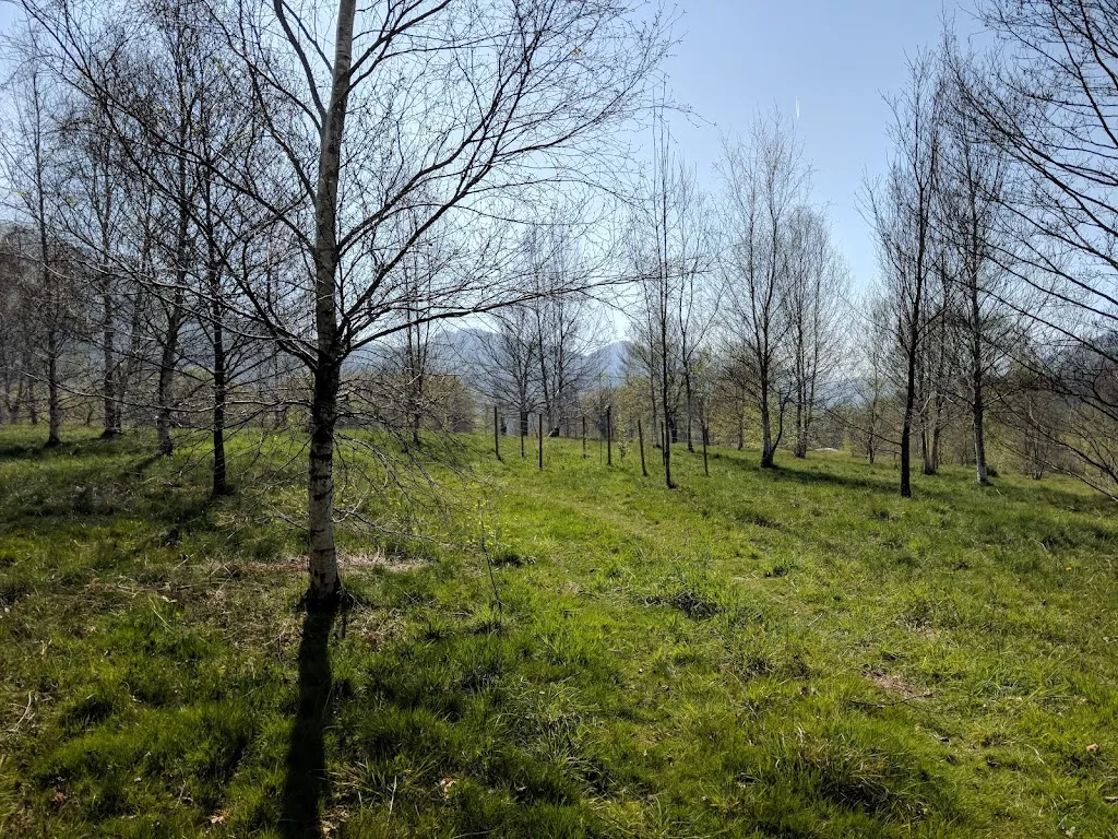 Merendero de Listorreta_Errenteria_slider_image_3