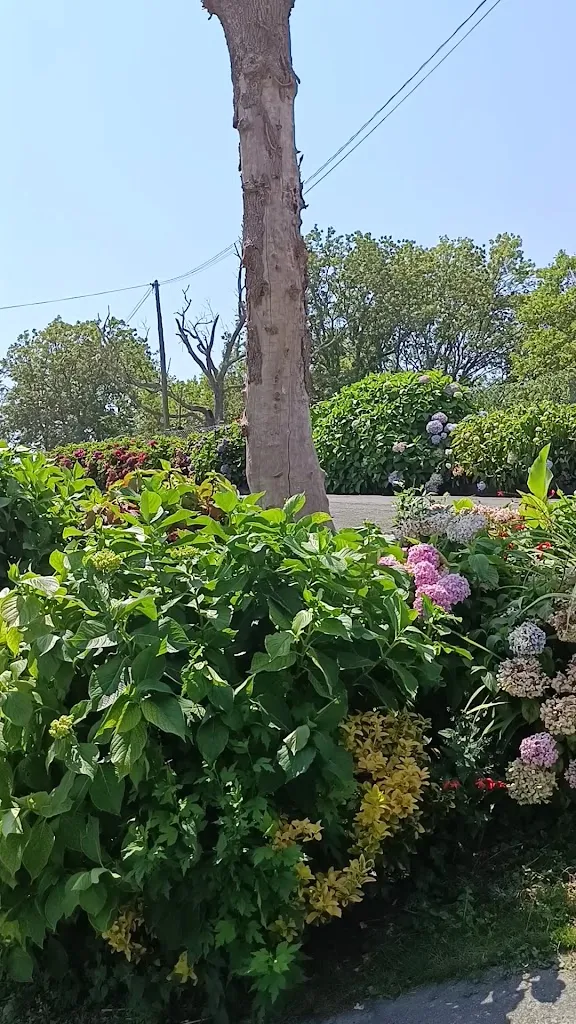 Pikoketa Jatetxea_Oiartzun_slider_image_2