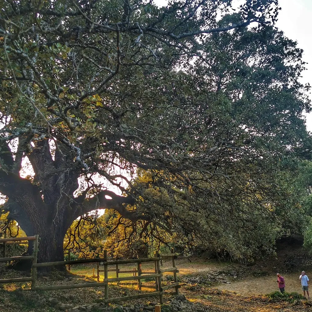 2KN_Lasarte-Oria_slider_image_3