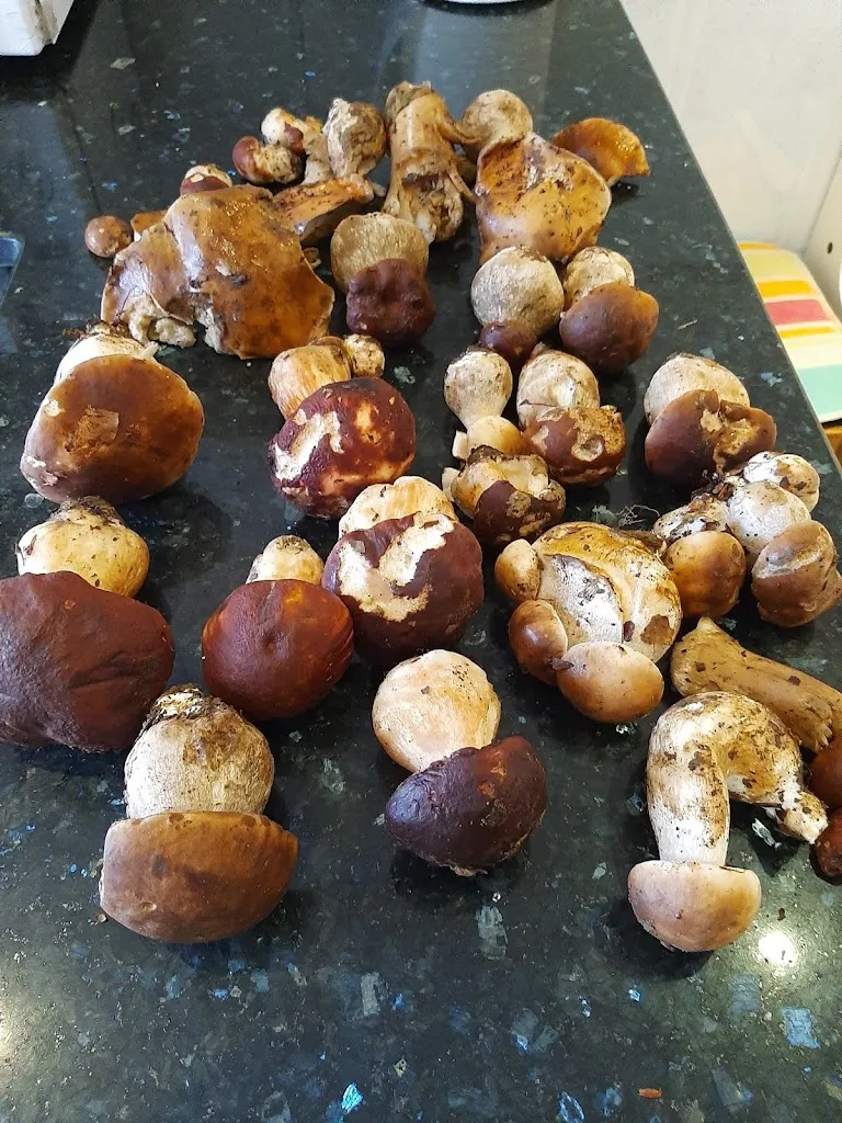 Cervecería Abend en Lasarte-Oria_Lasarte-Oria_slider_image_3