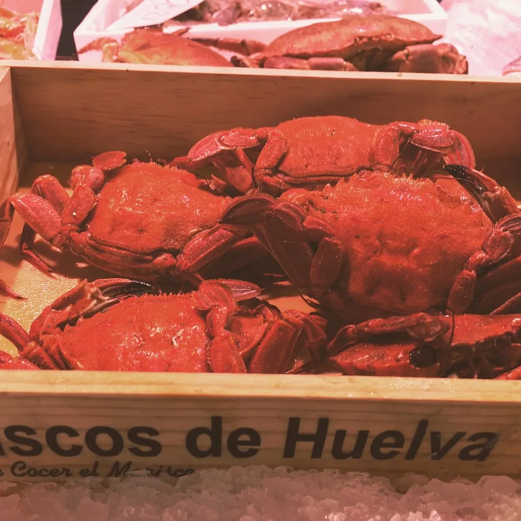 Sagastume Arrandegia_Lasarte-Oria_slider_image_2