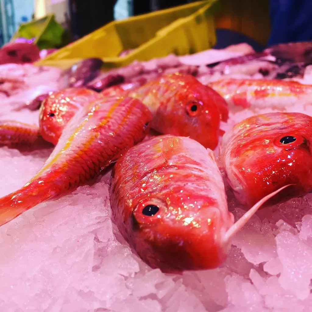 Sagastume Arrandegia_Lasarte-Oria_slider_image_3