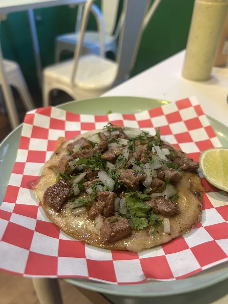 Alejandra Herrera_Corvina Mx_Segura_review