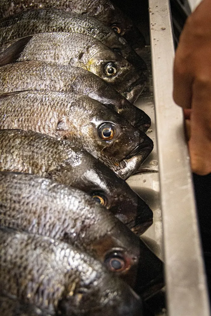 Sarasua Ardandegia_Orio_slider_image_3