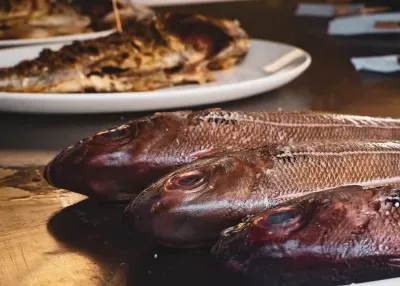 Xixario_Orio_slider_image_3