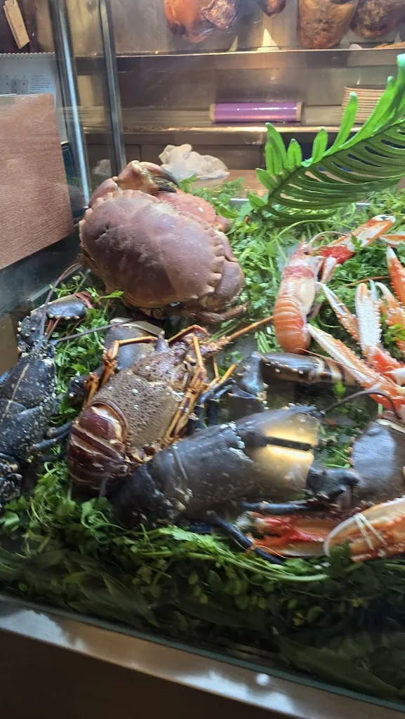 Valerio Aletti_La Trainera_Viveros_review