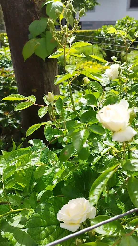 PETIT GOIERRI_Zegama_slider_image_2