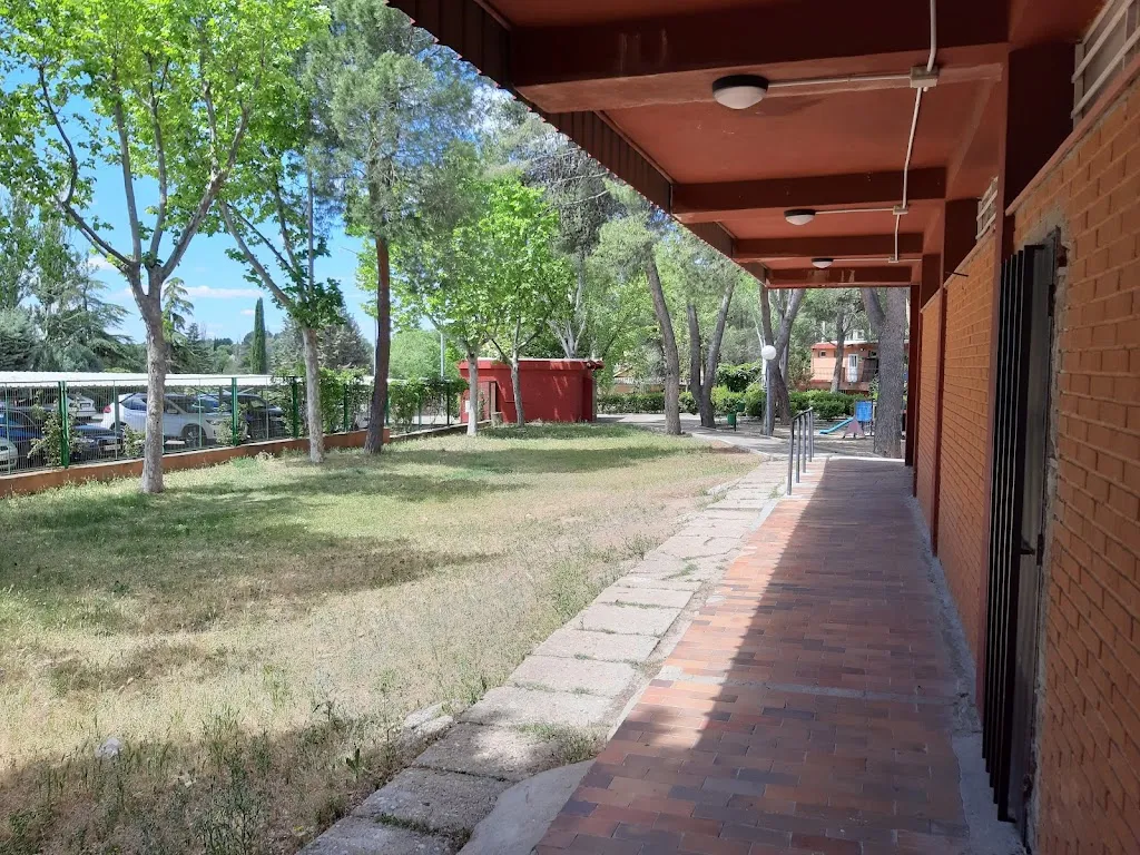 Brucán enseña a tús mascotas_Club Los Berrocales Del Jarama_Viveros_review