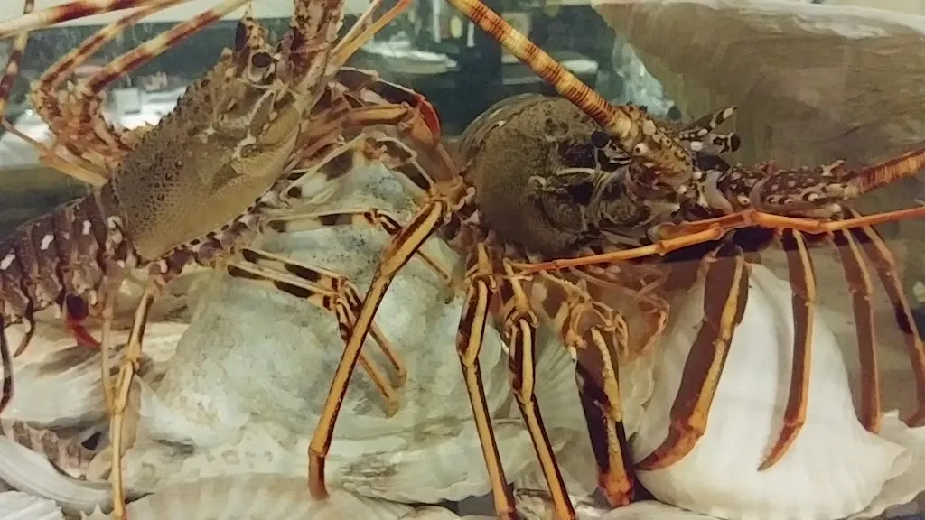 Izkiña_Pasaia_slider_image_2