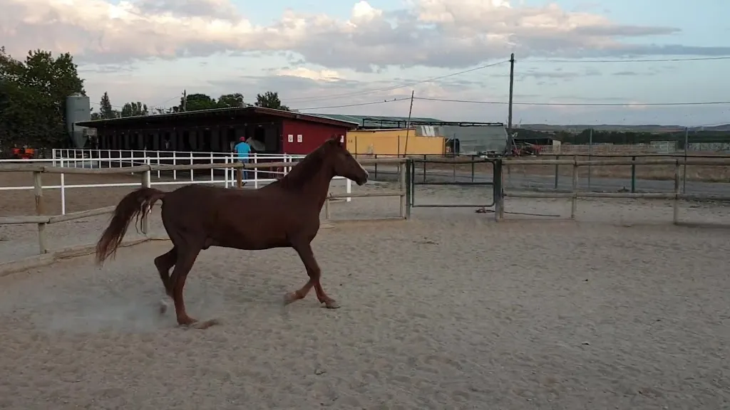 Club Hípico El Encuentro_Viveros_slider_image_2