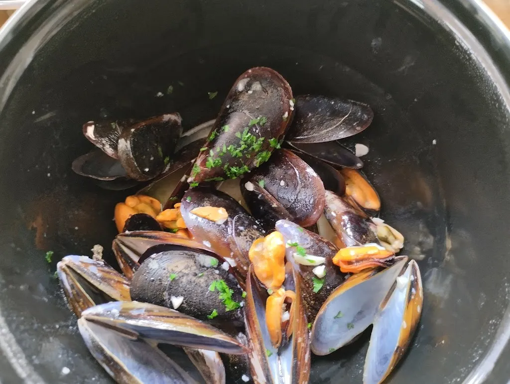 Menu_Tolosako frontoia_Tolosa_image_9