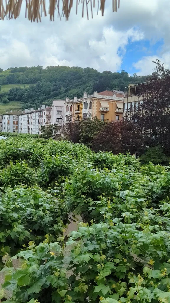 Tolosako frontoia_Tolosa_slider_image_2