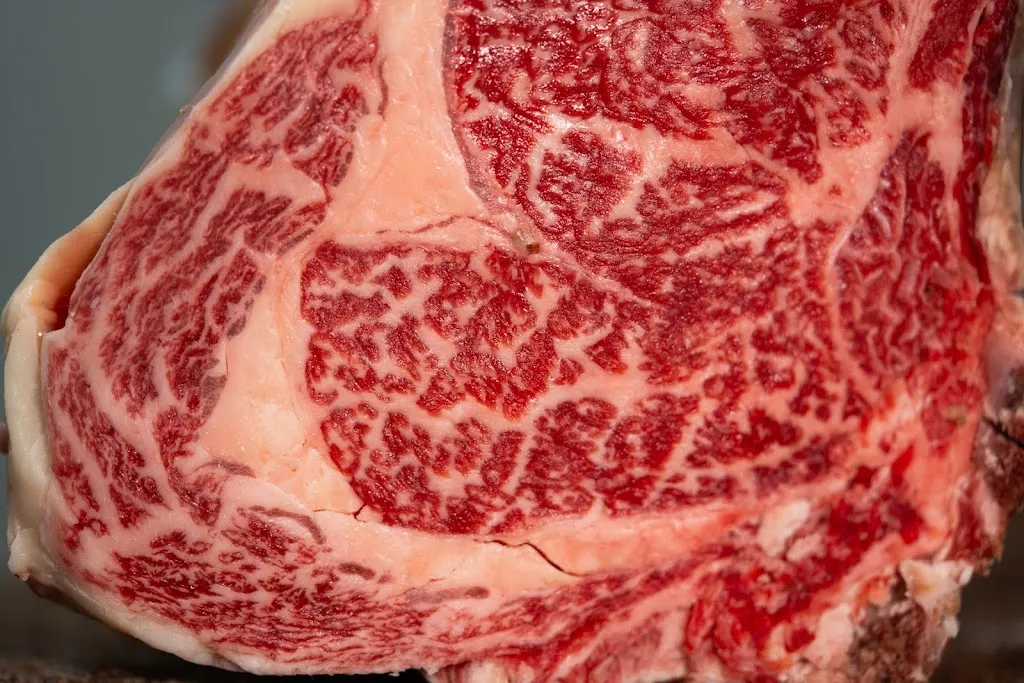 Casa Nicolás de Tolosa_Tolosa_slider_image_3