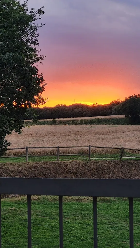 Victor Crespo_Bar Restaurant Ca La Dolo 