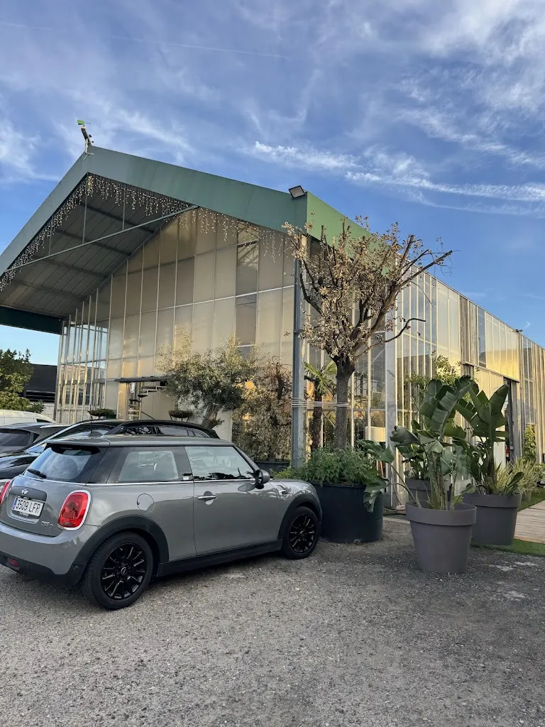 Fernando Lopez_El Invernadero de Coloma_Viveros_review